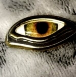 Schiaparelli  Brooch buttons